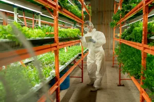 Cómo mejorar el control de insumos de la industria agrícola